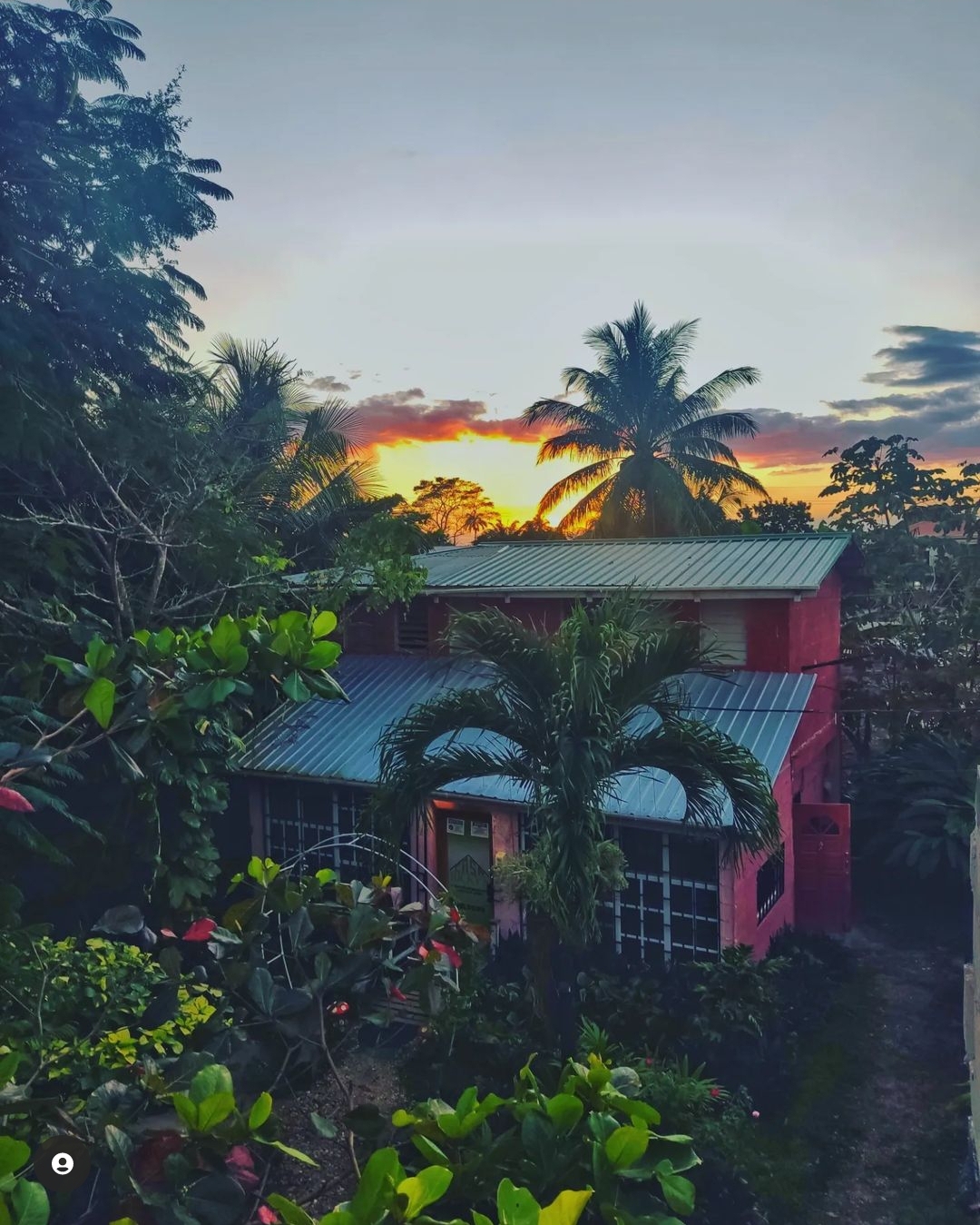 Casa Ricky's photo 4