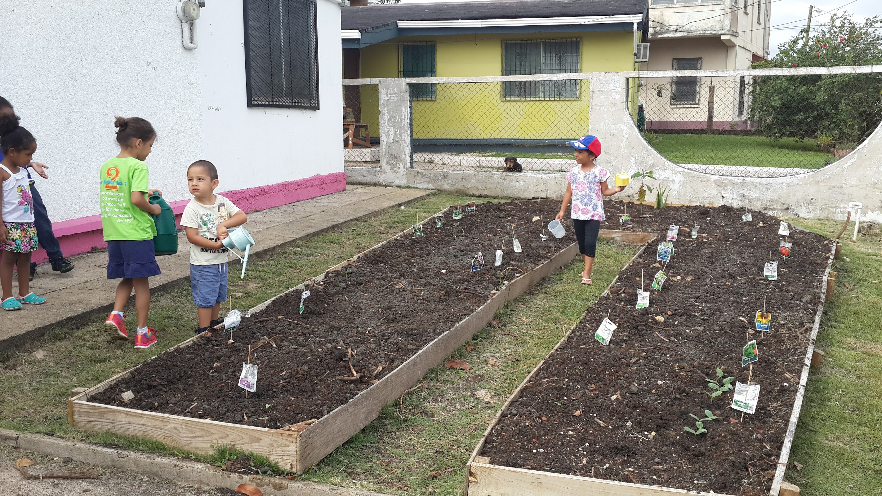 The Belize Montessori Nursery School photo 6