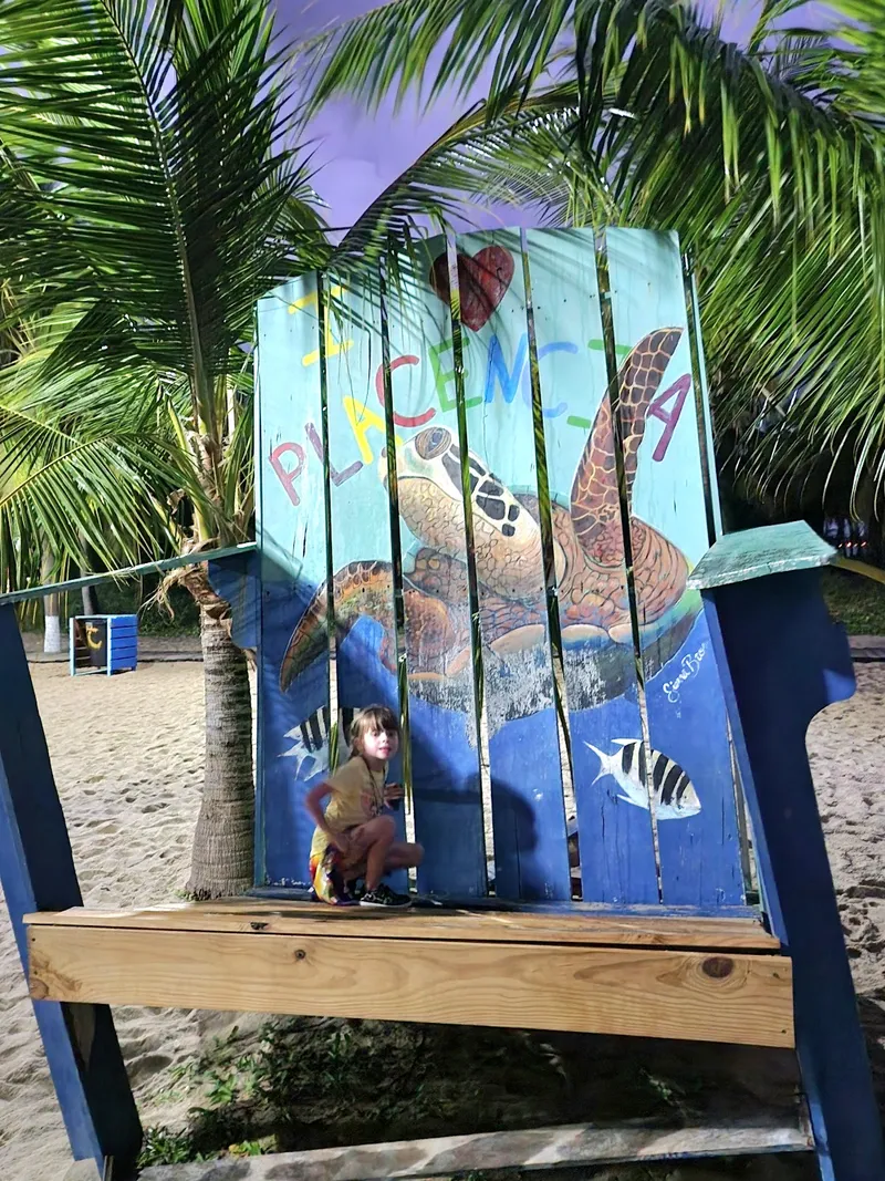 Big beach chair