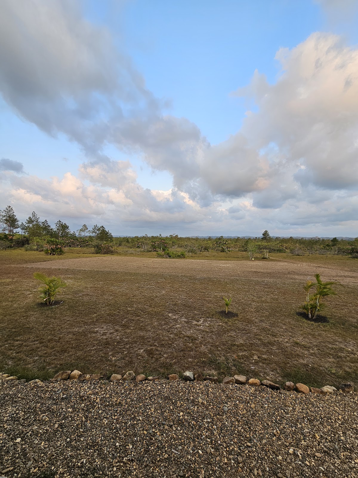 Monkey Bay Wildlife Sanctuary photo 5
