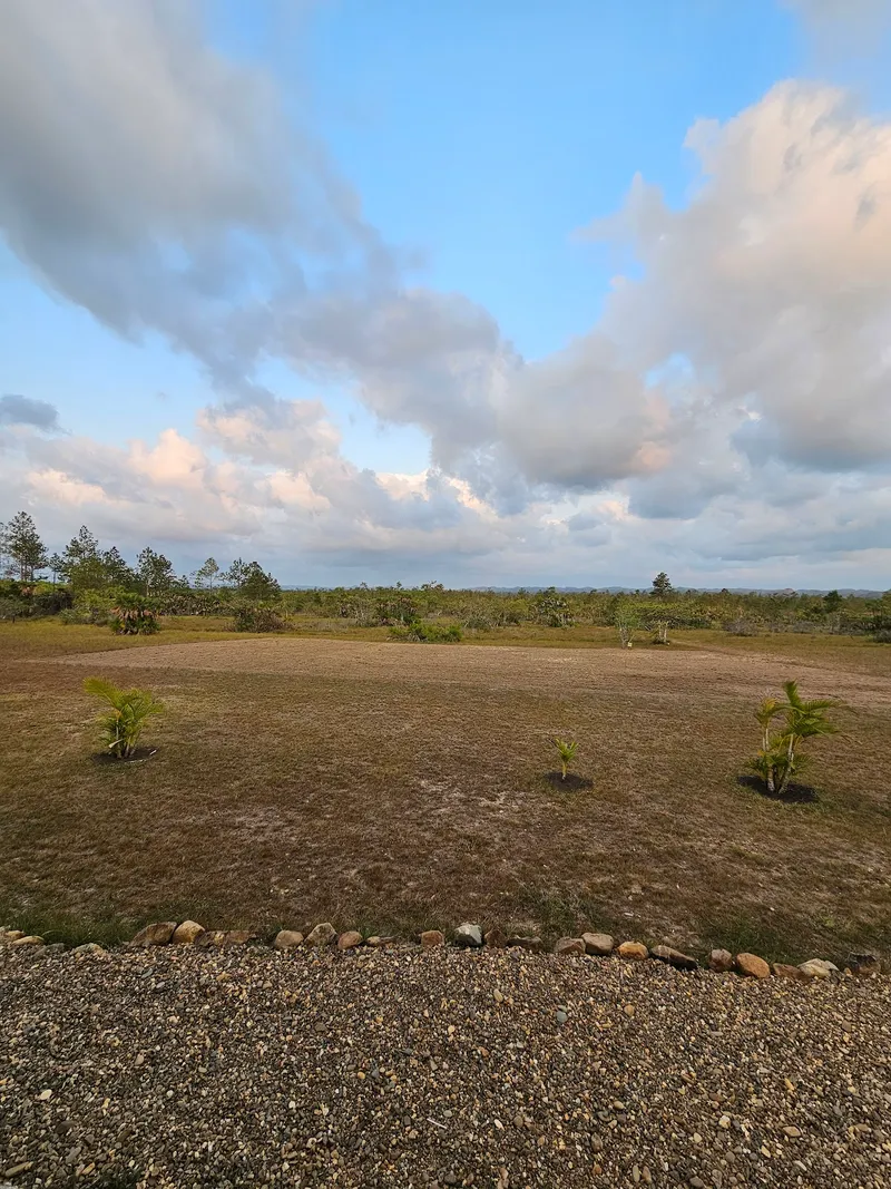 Monkey Bay Wildlife Sanctuary photo 5
