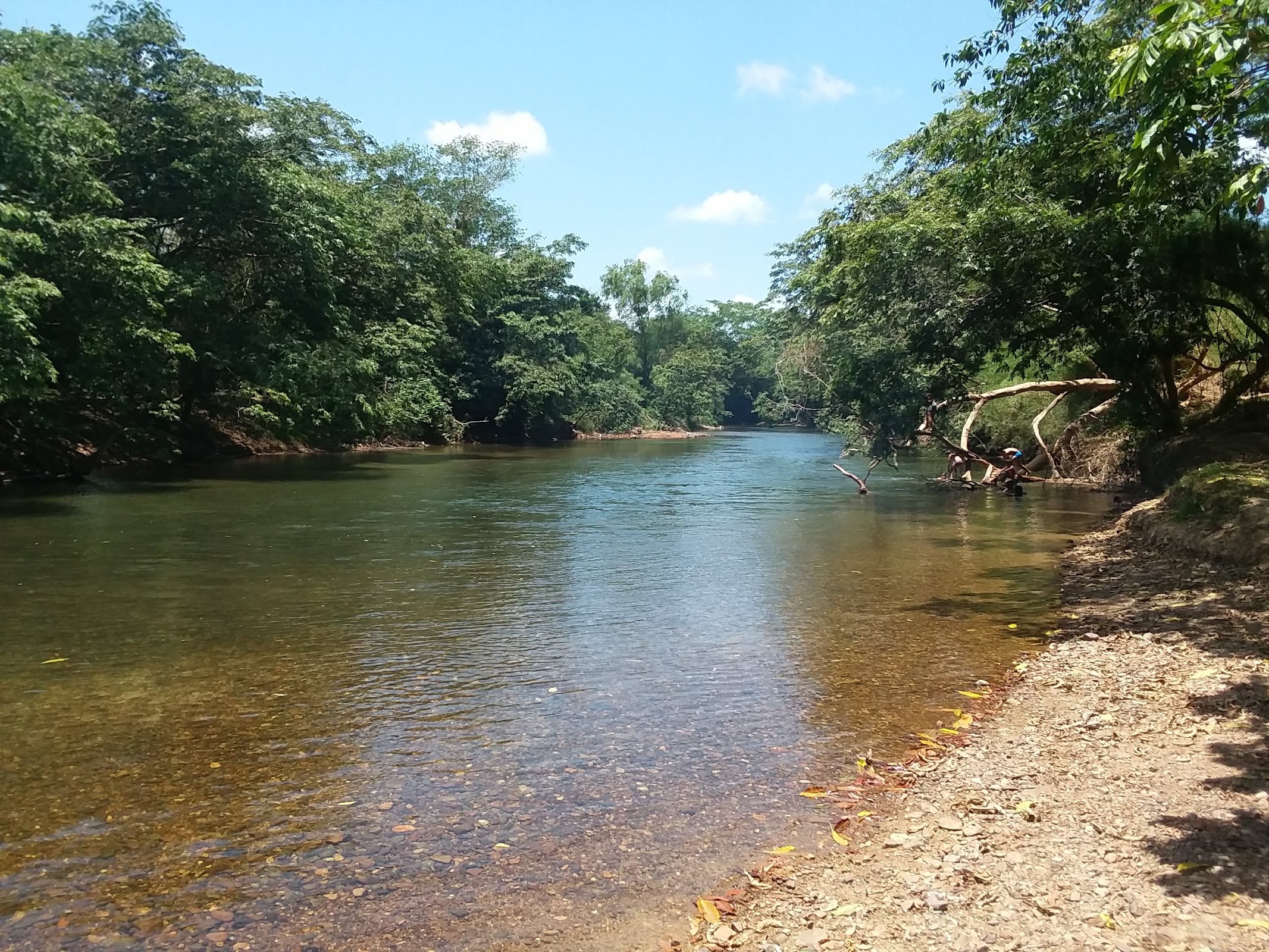 Monkey Bay Wildlife Sanctuary photo 4