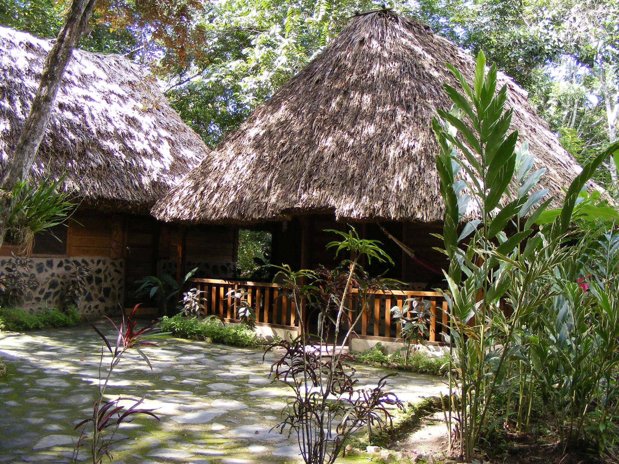Cohune Palms River Cabanas