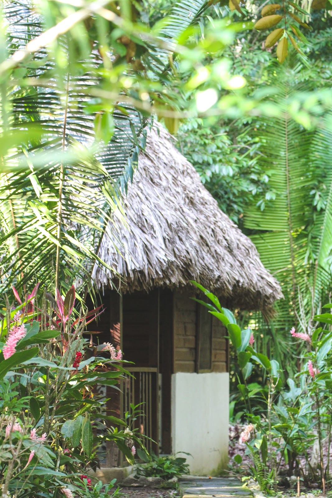 Cohune Palms River Cabanas photo 4