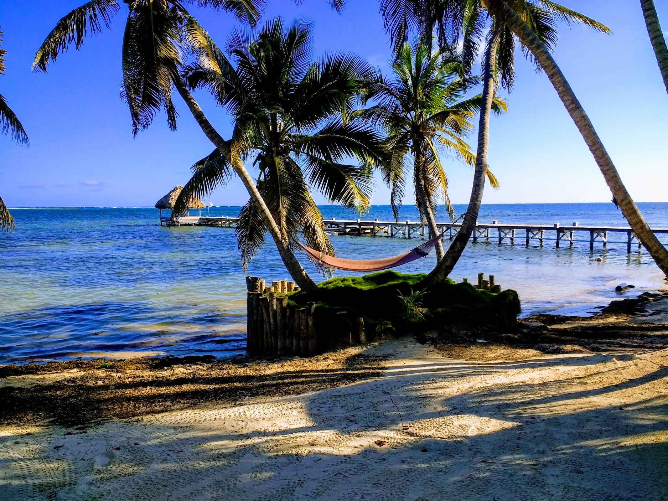 El Secreto Belize photo 2