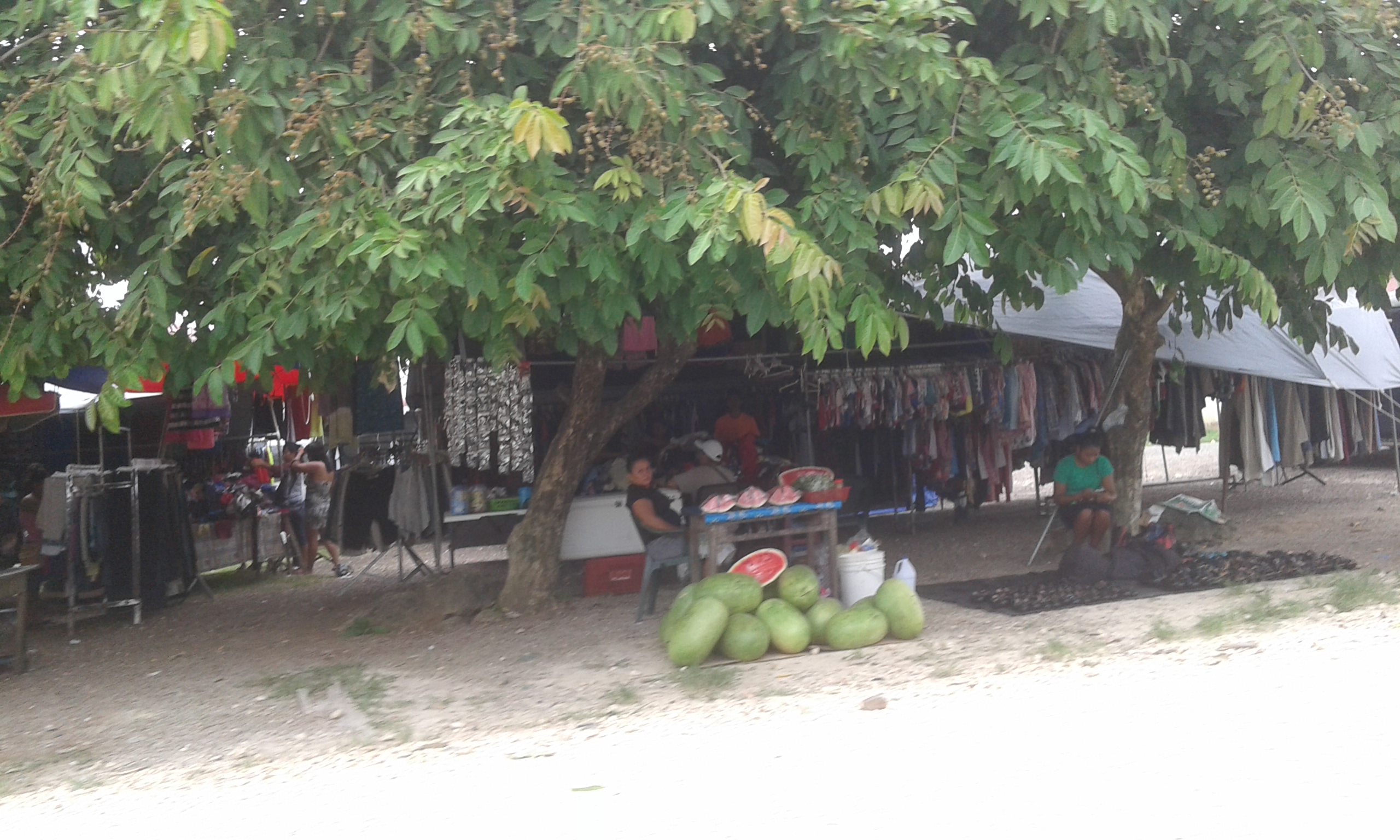 Parque de Las Americas photo 5