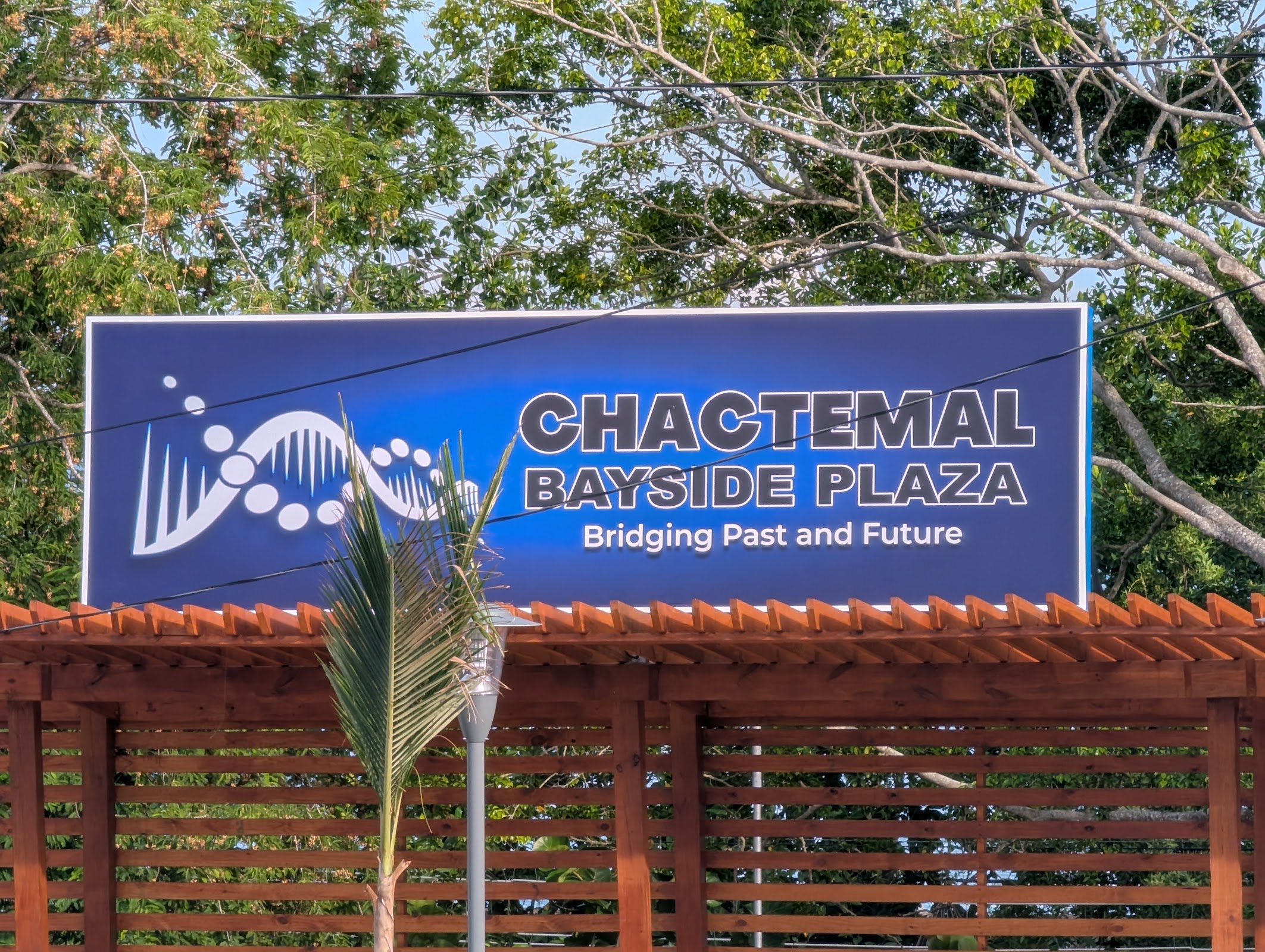 Chactemal Plaza photo 4