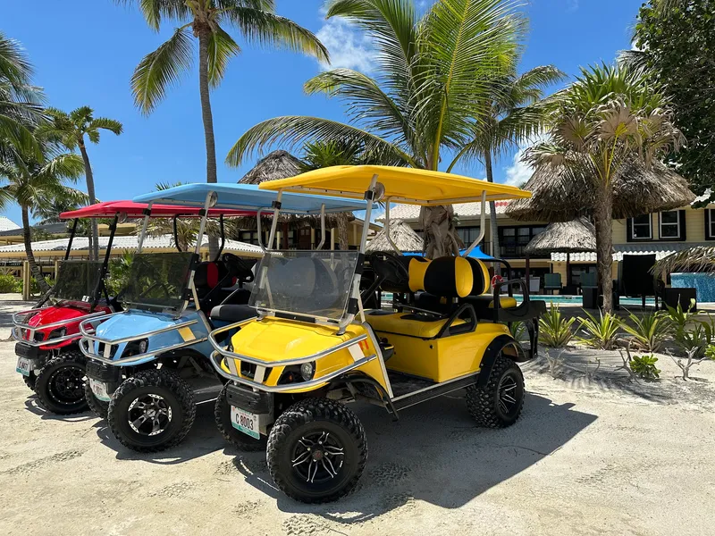 Aviz San Pedro-Belize Golf Cart Rental North Office