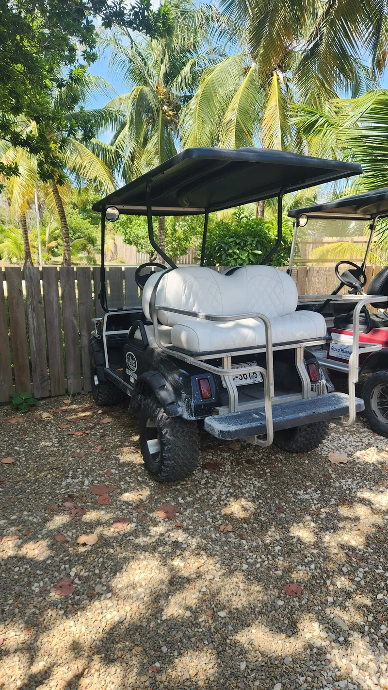 Aviz San Pedro-Belize Golf Cart Rental North Office photo 5