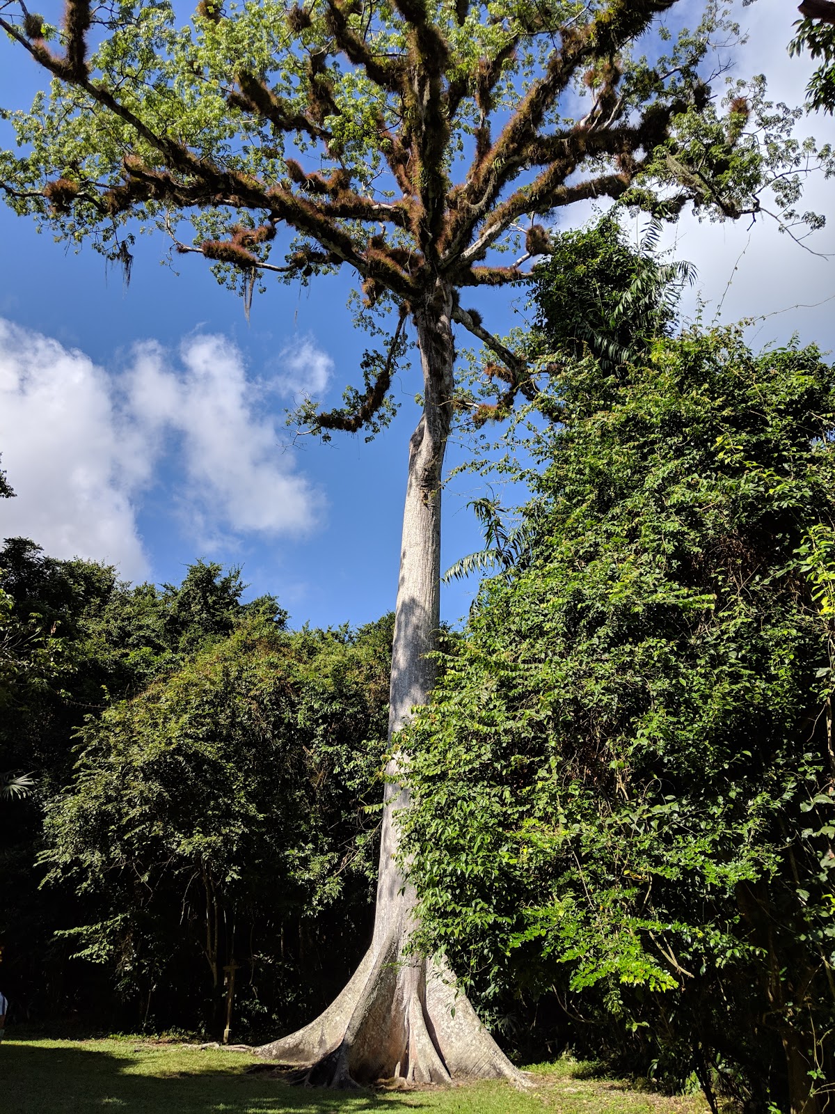 Katun Ahau Belize Culture Tours photo 4
