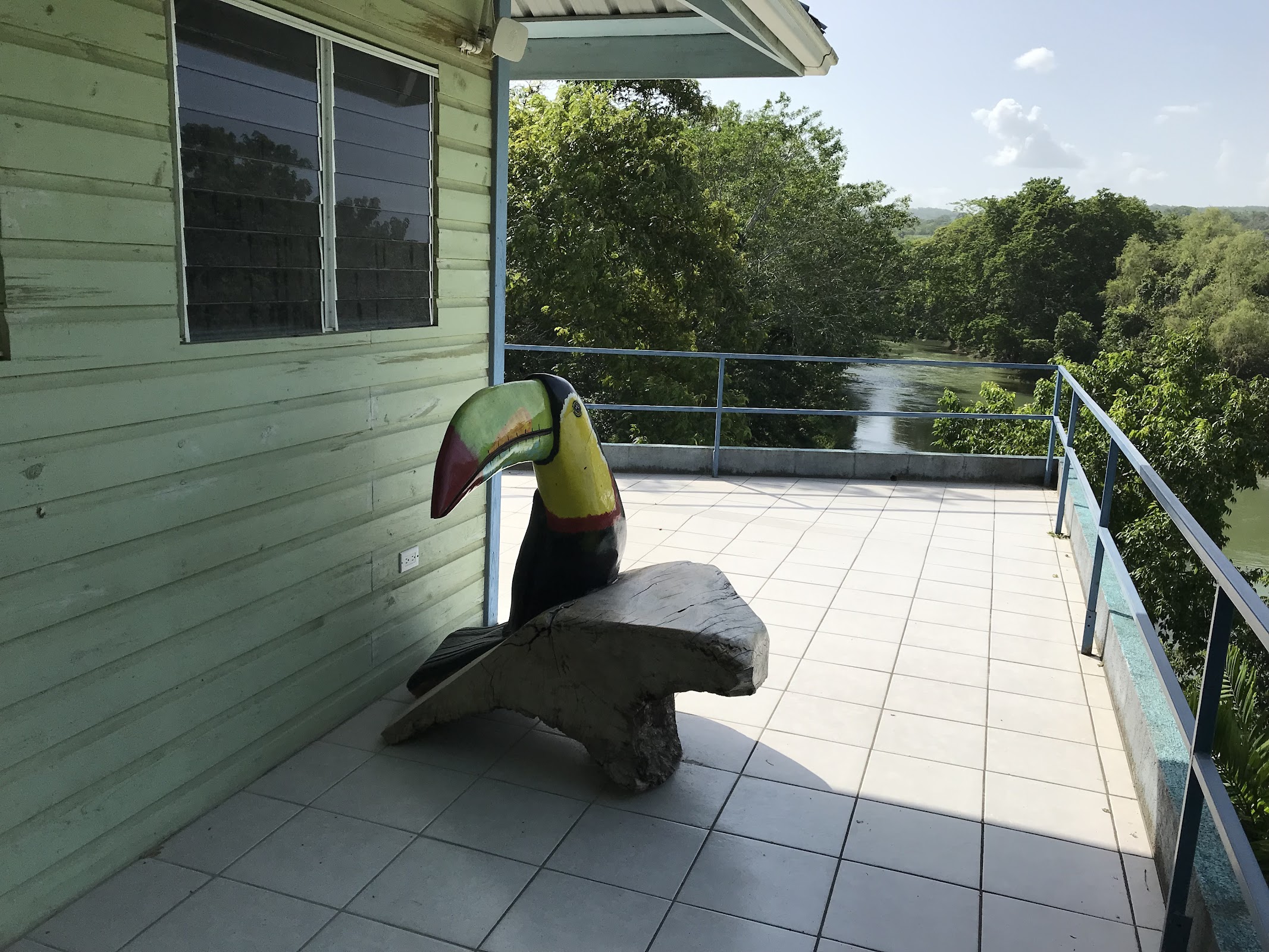 River Bend Lodge Cayo photo 8