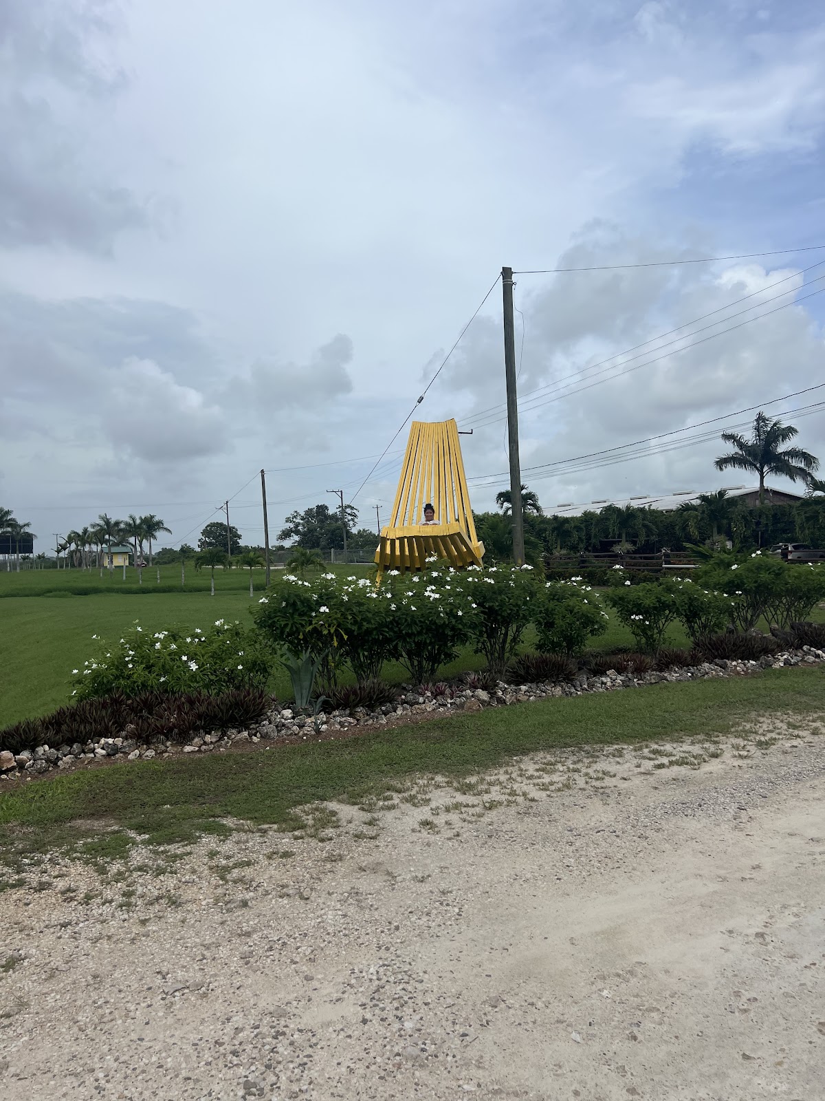 Belize Pride Clam Chair Sculpture photo 3