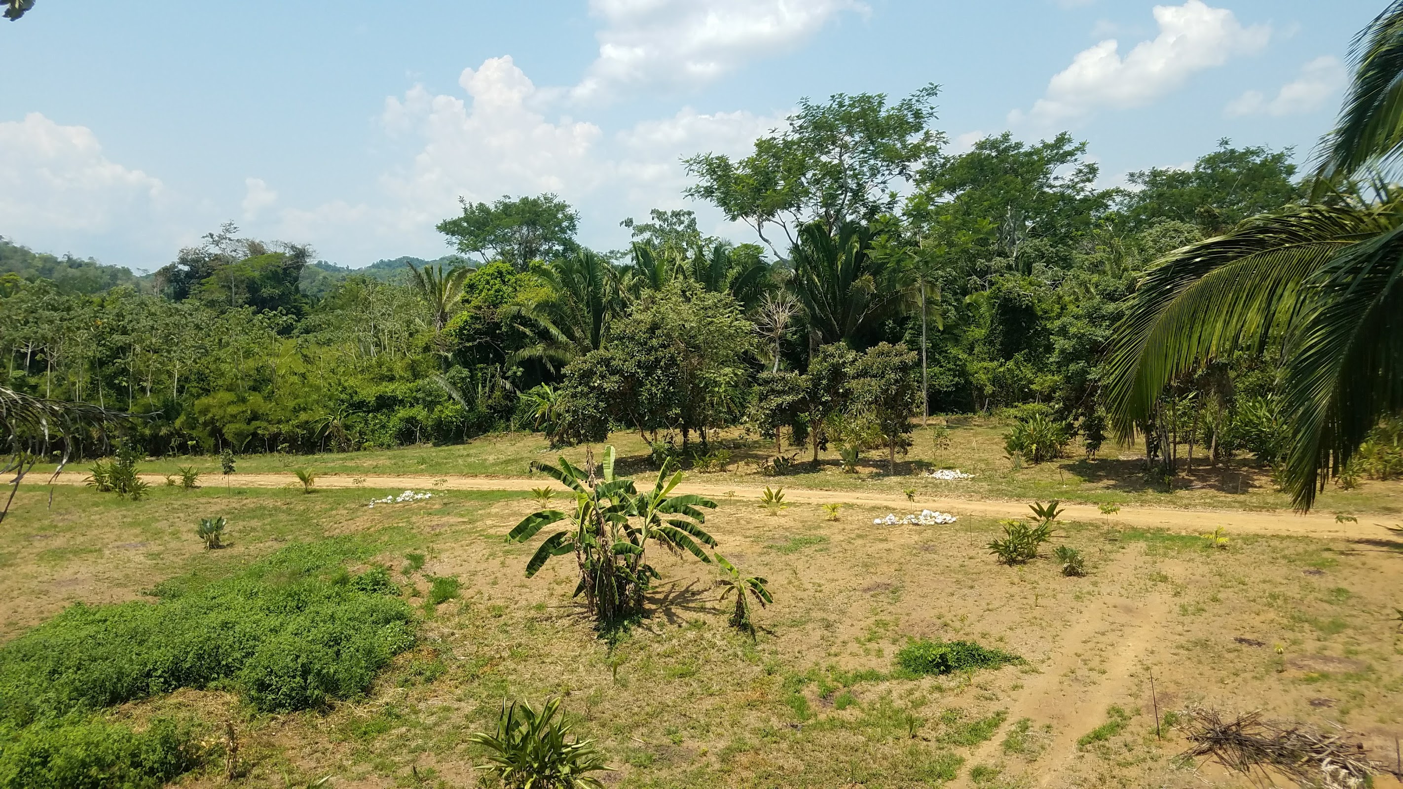Lopez Mateos Park (King's Park) photo 5