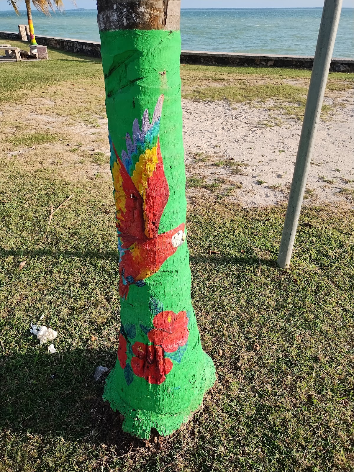 Rainbow Park photo 7
