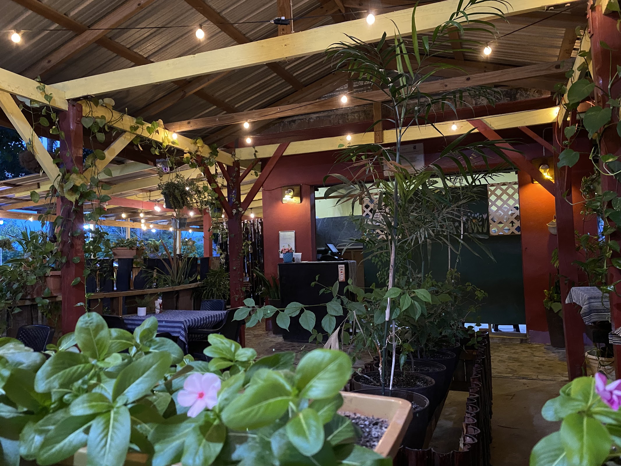 Doncelas Restaurant & Cafe photo 3