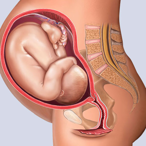 Dr. Rivas Clinic photo 7