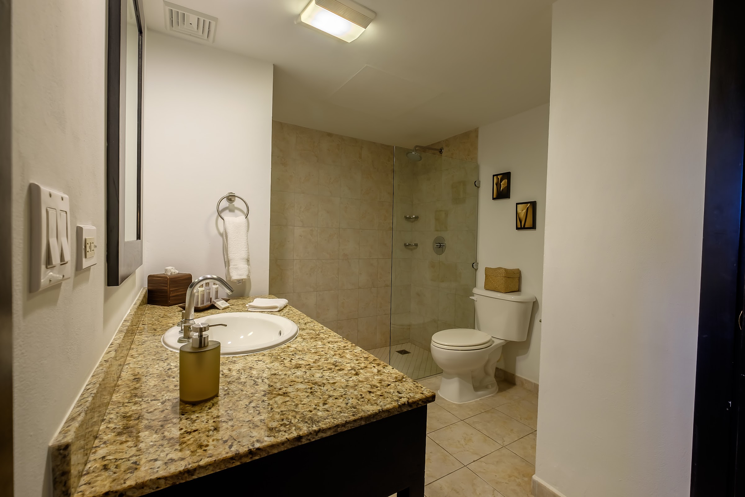 Las Terrazas Resort & Residences photo 4