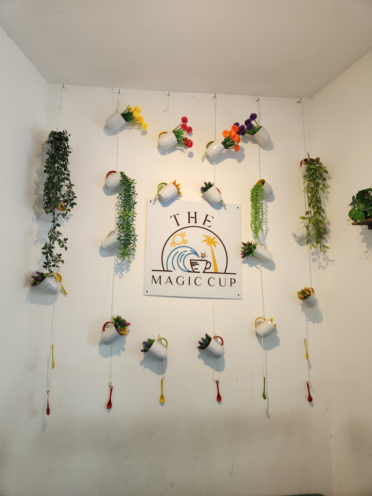 The magic cup photo 8