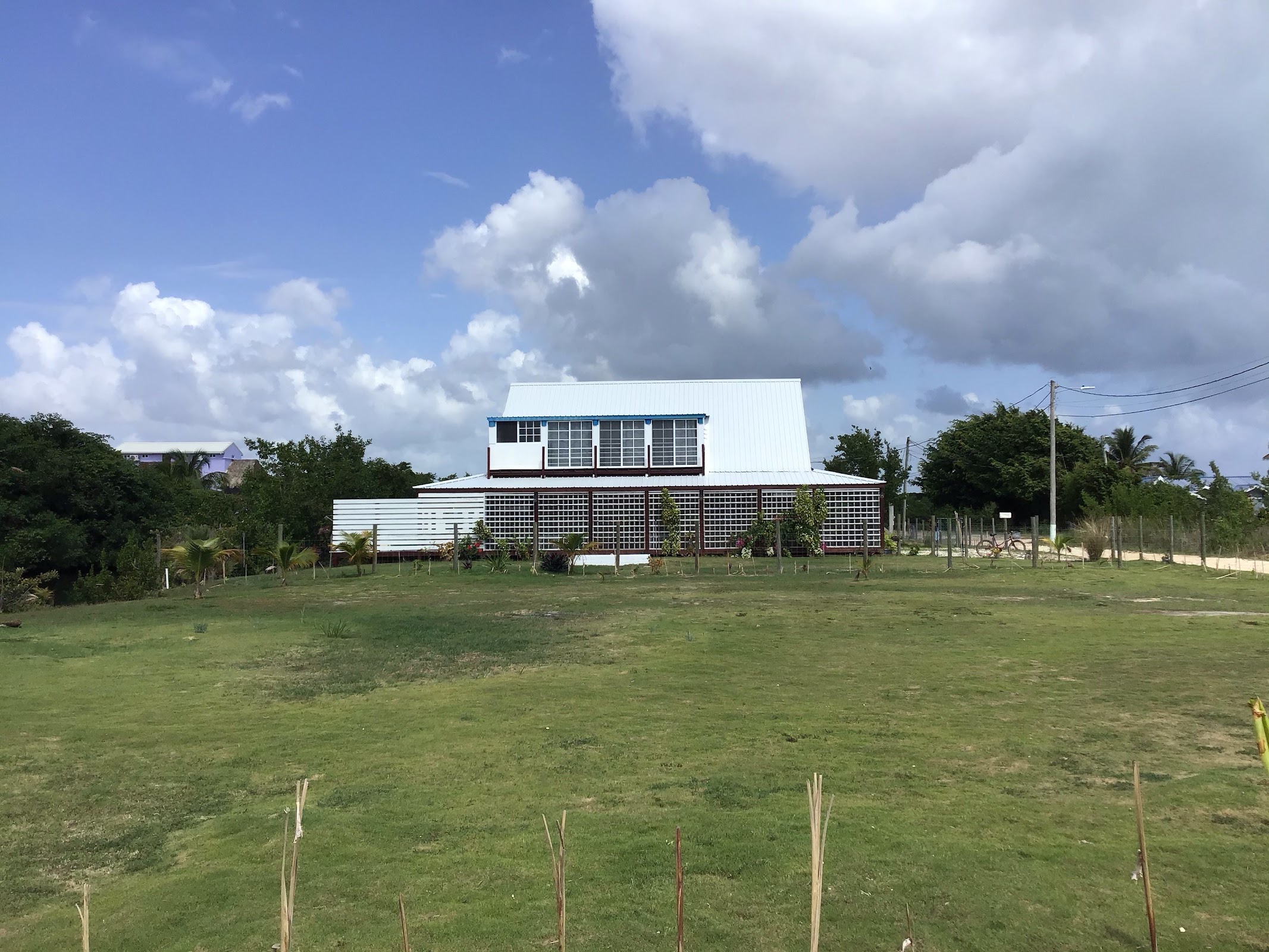 The BNB on Triggerfish photo 6