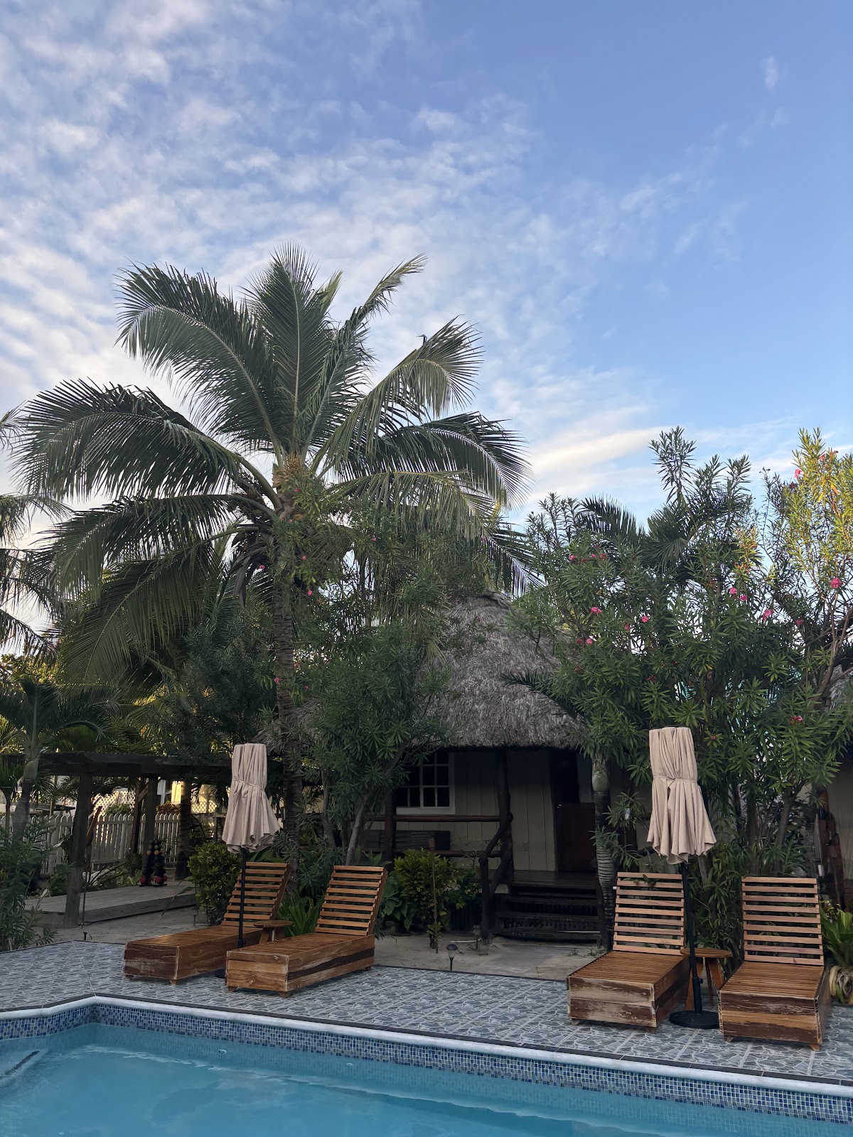 Tropical Escape Restaurant & Bar photo 6