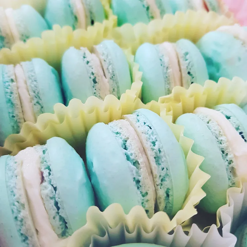 Caramelo photo 3