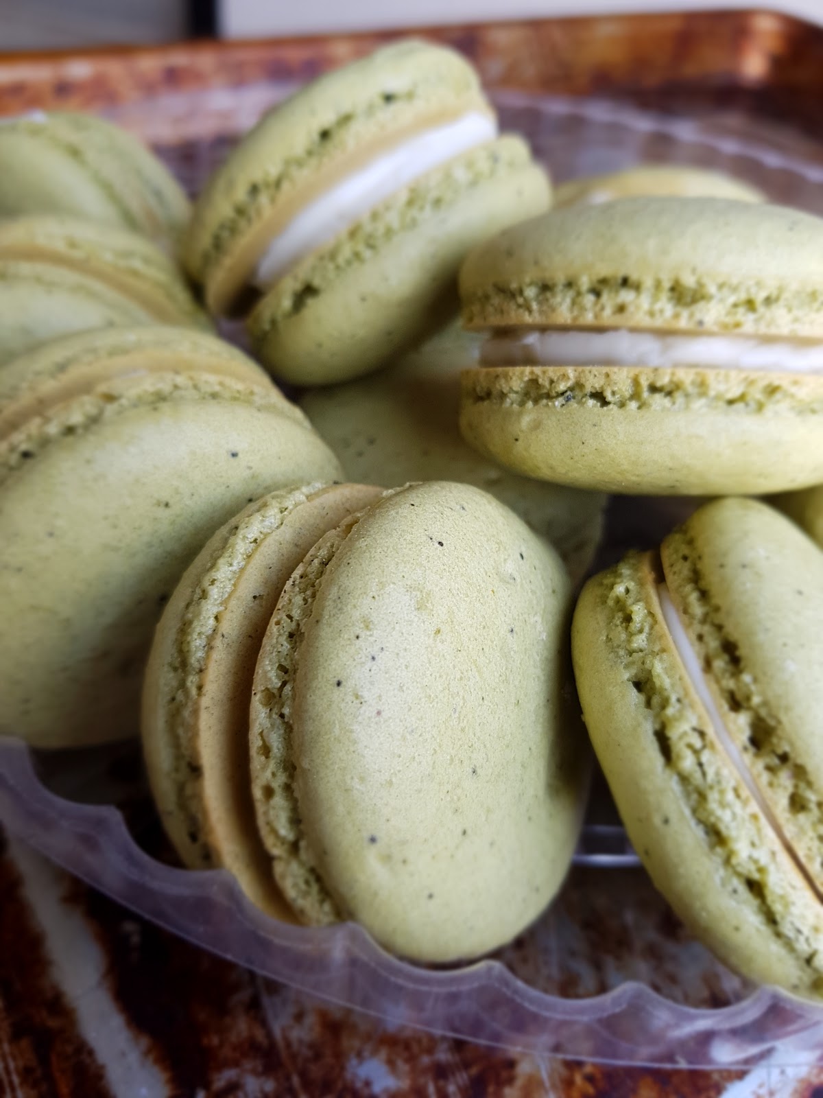 Caramelo photo 2