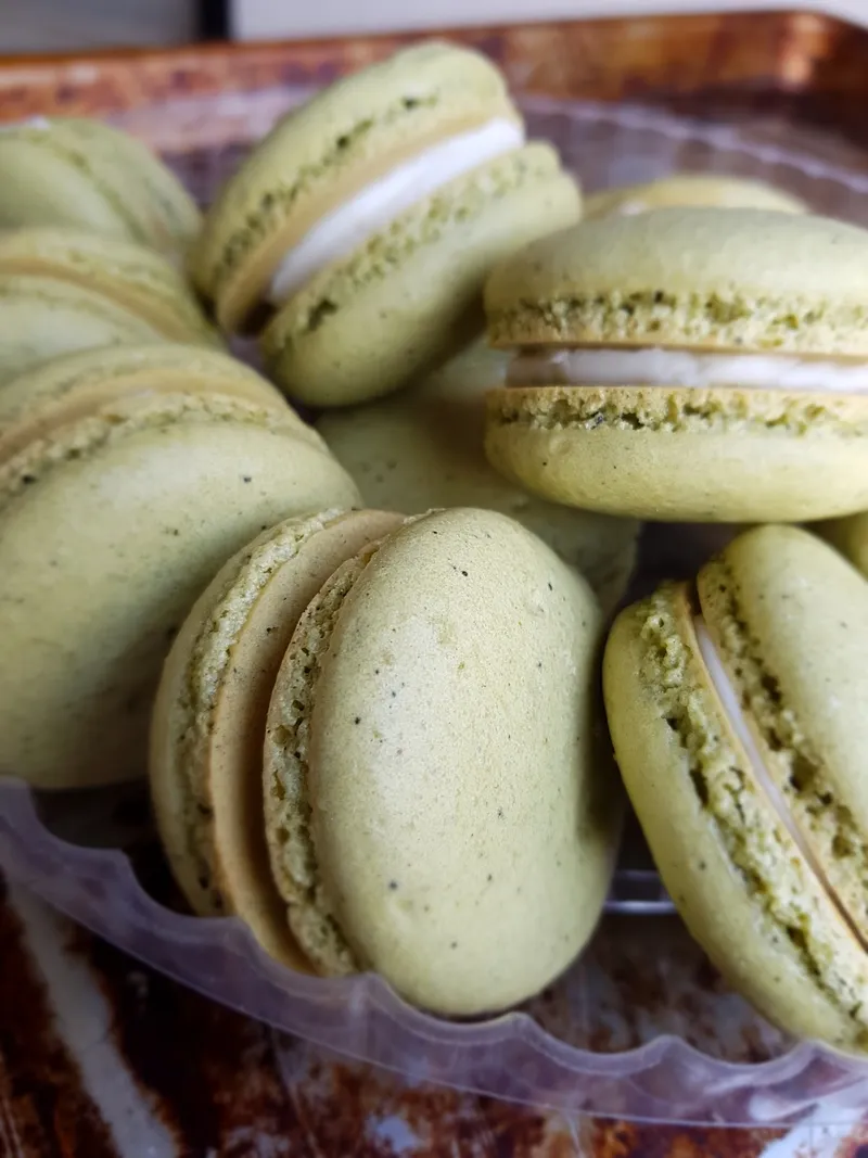 Caramelo photo 2