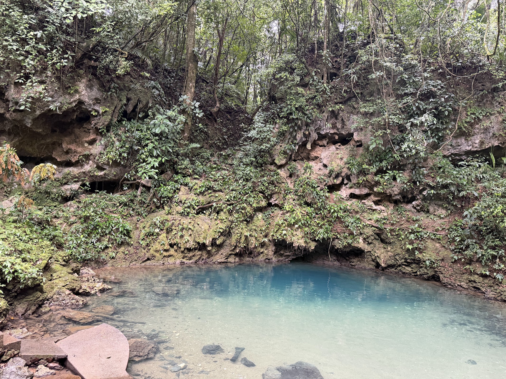 Rudy’s Adventure Tours photo 2