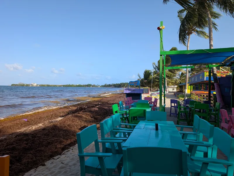 Barefoot Beach Bar