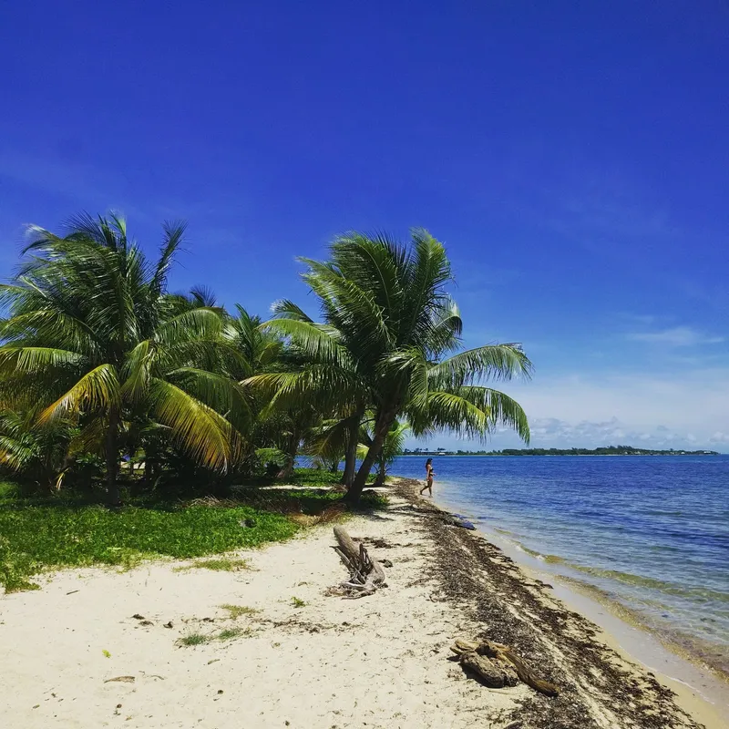 Manatee Caye