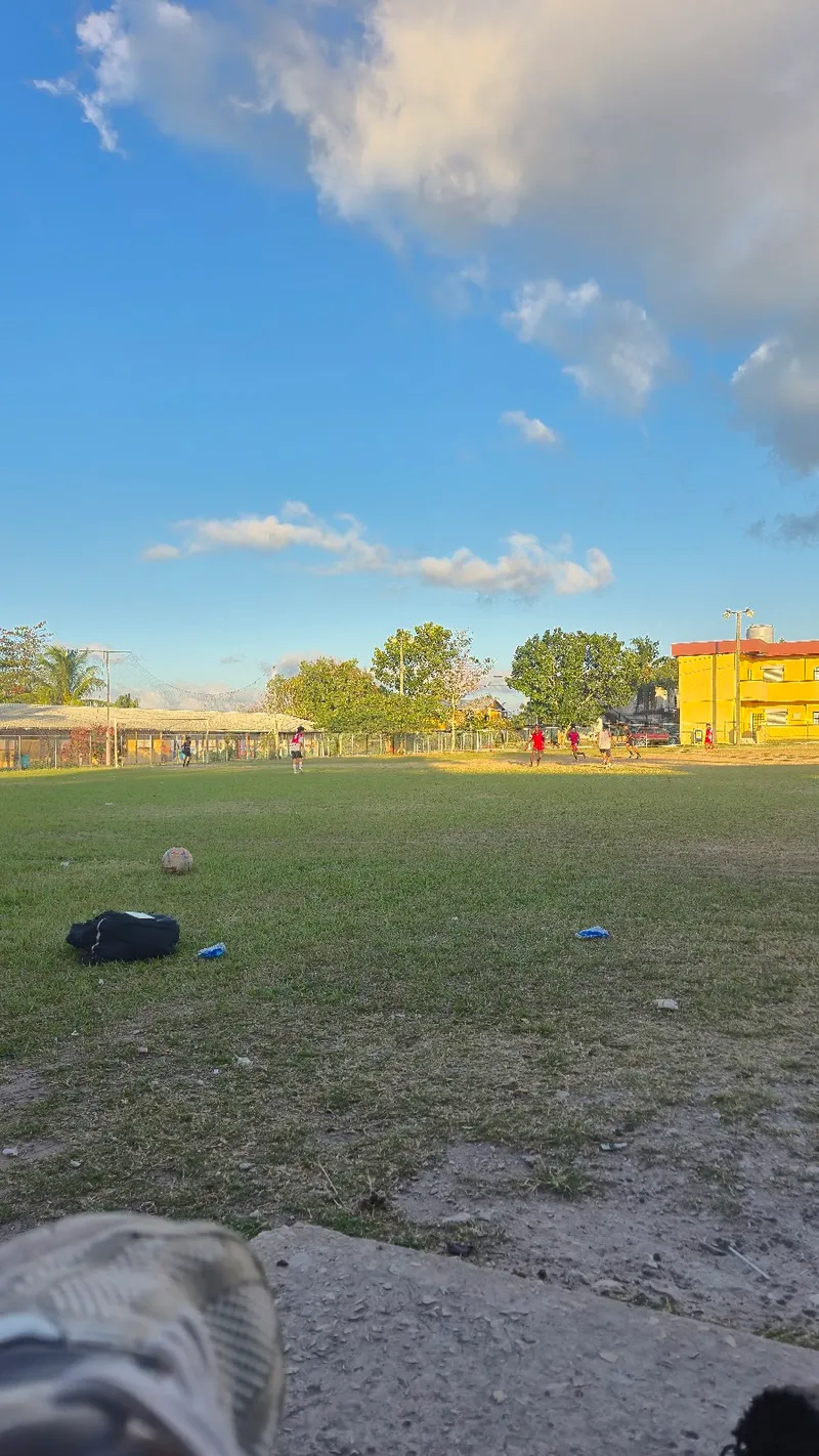 Louisana Football Field