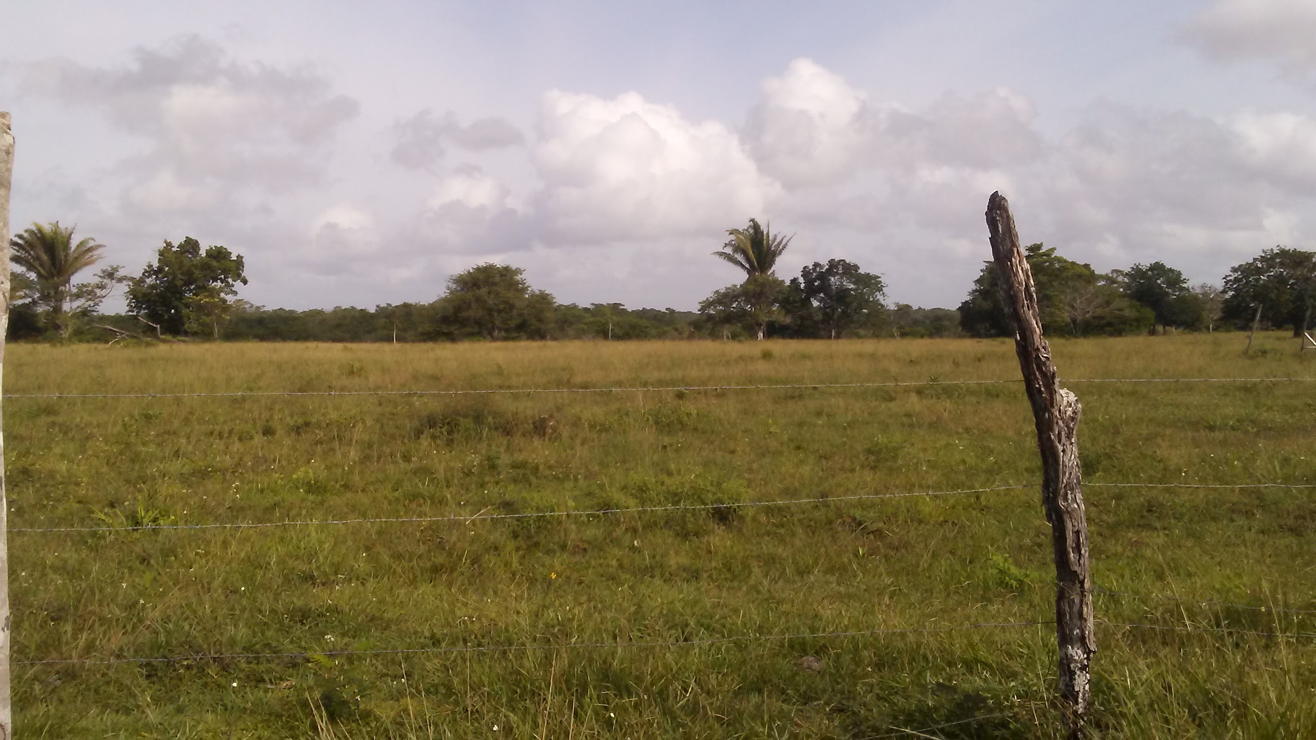 Sandy Field Park photo 2