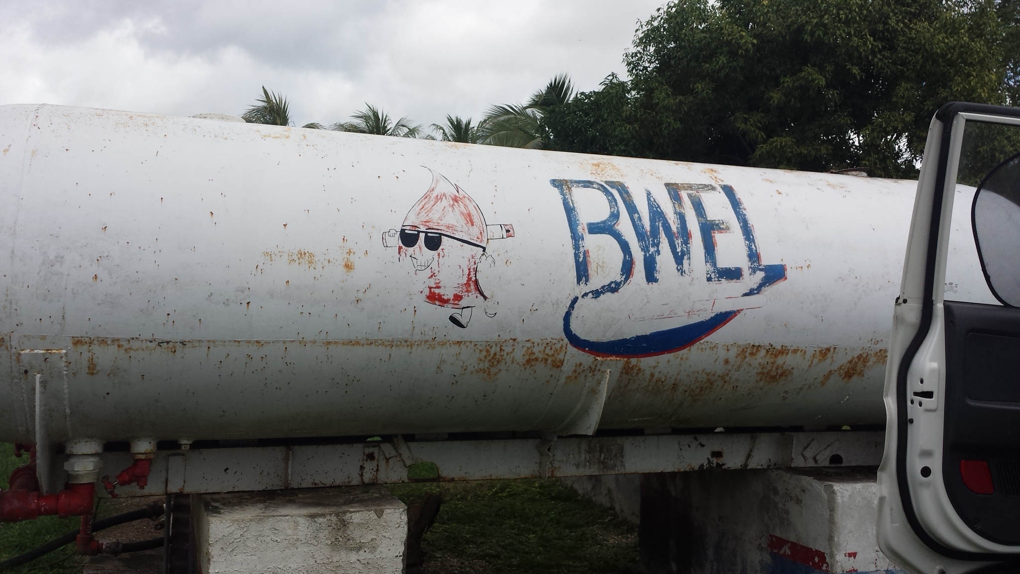 BWEL PALMAR photo 2