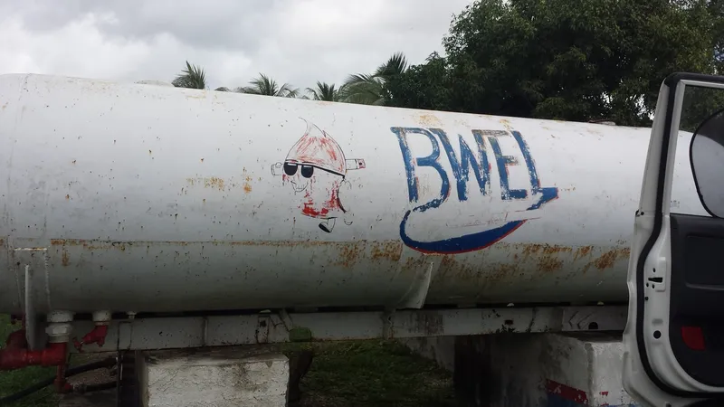 BWEL PALMAR
