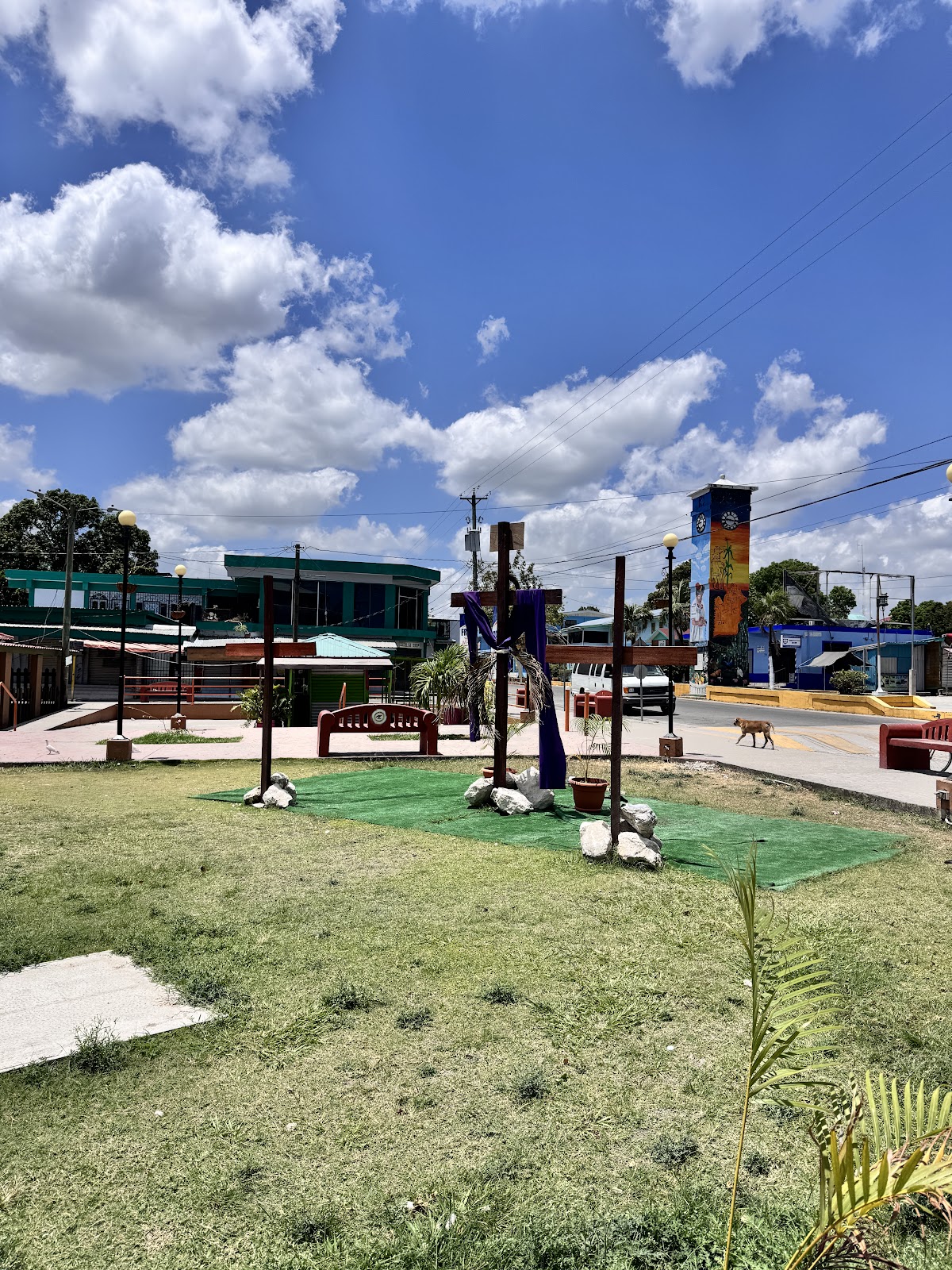 Orange walk town photo 4