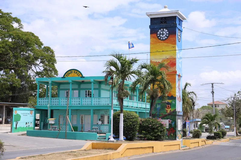 Orange walk town