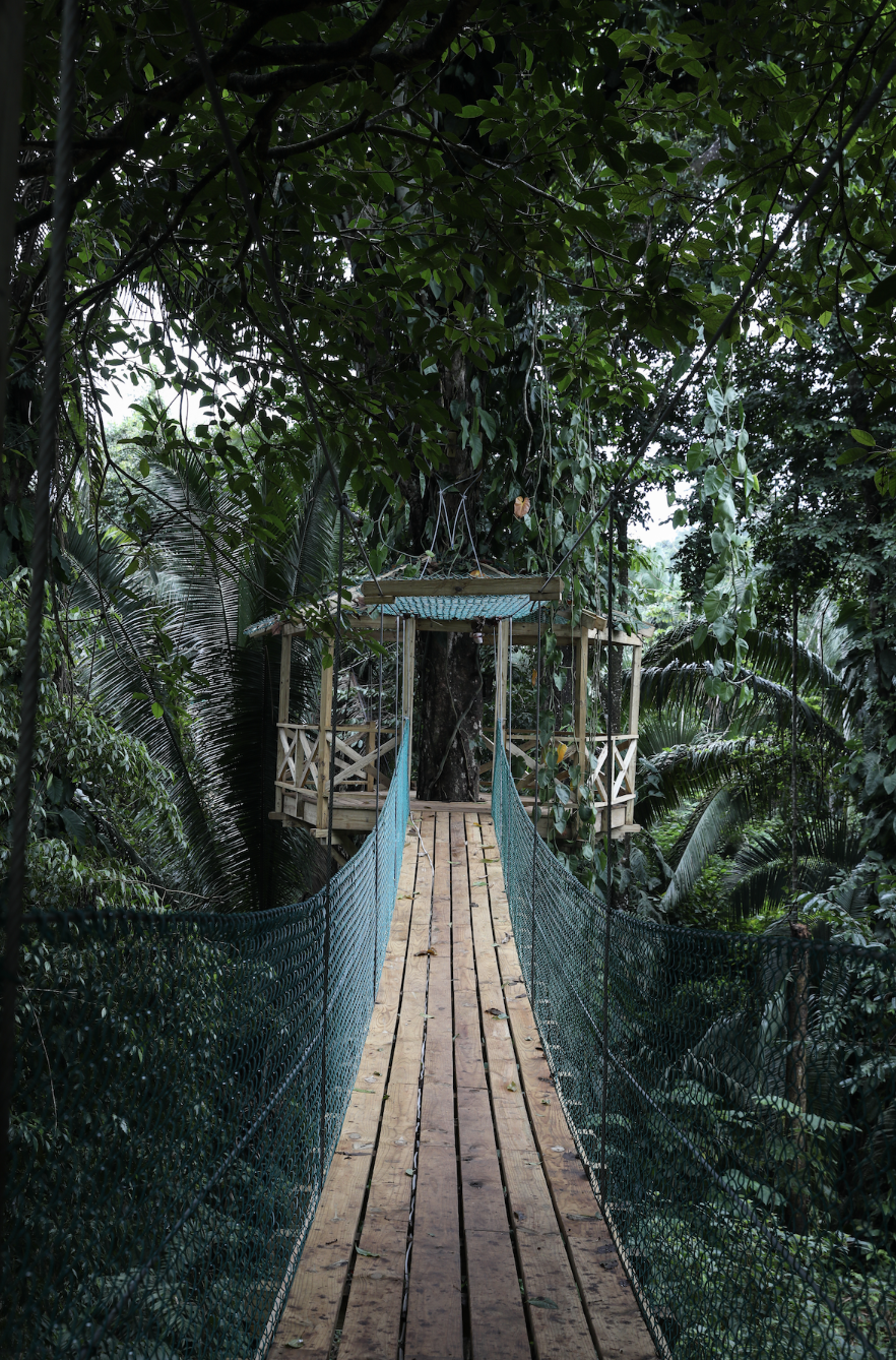 Jade Jungle Resort photo 5