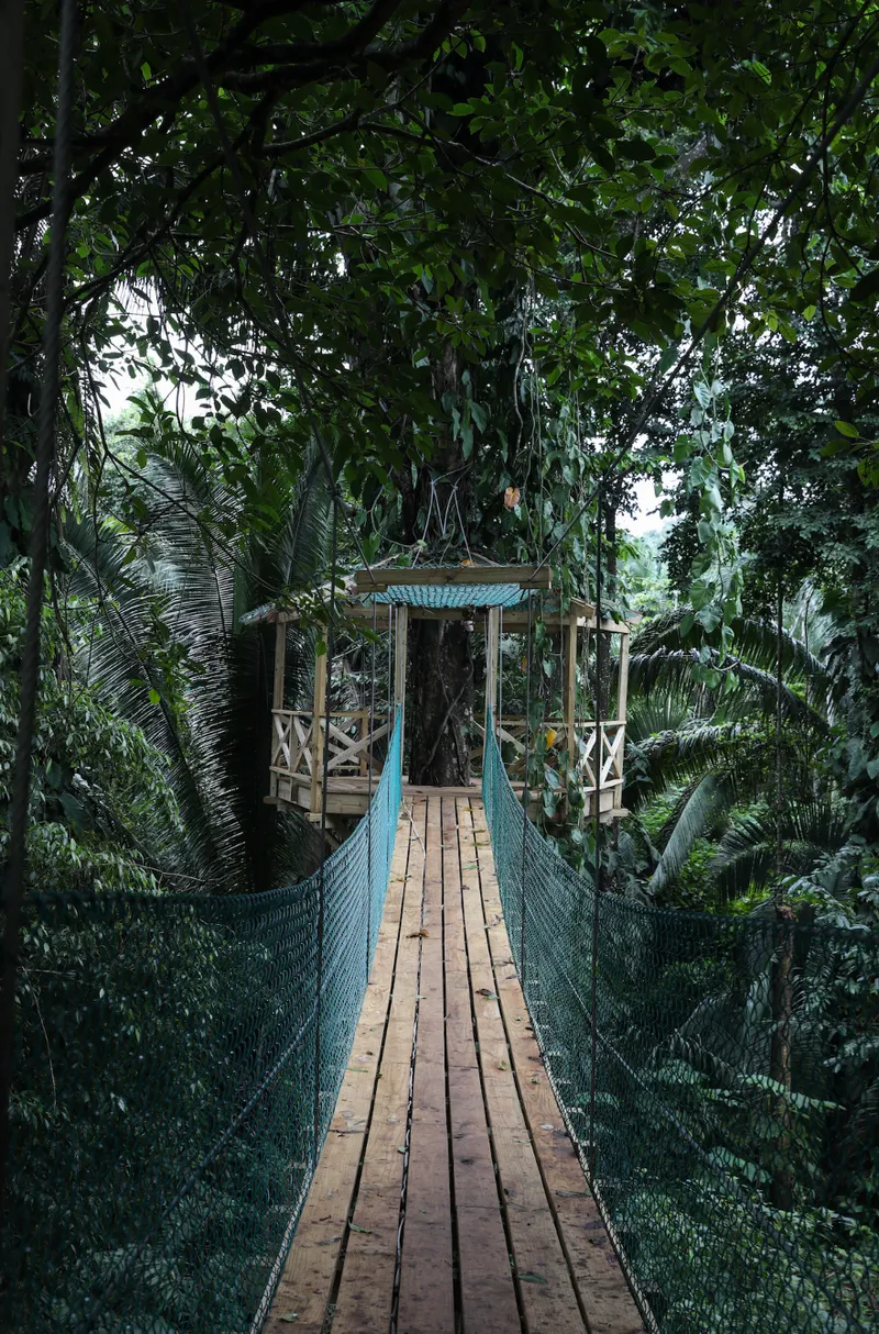 Jade Jungle Resort photo 5