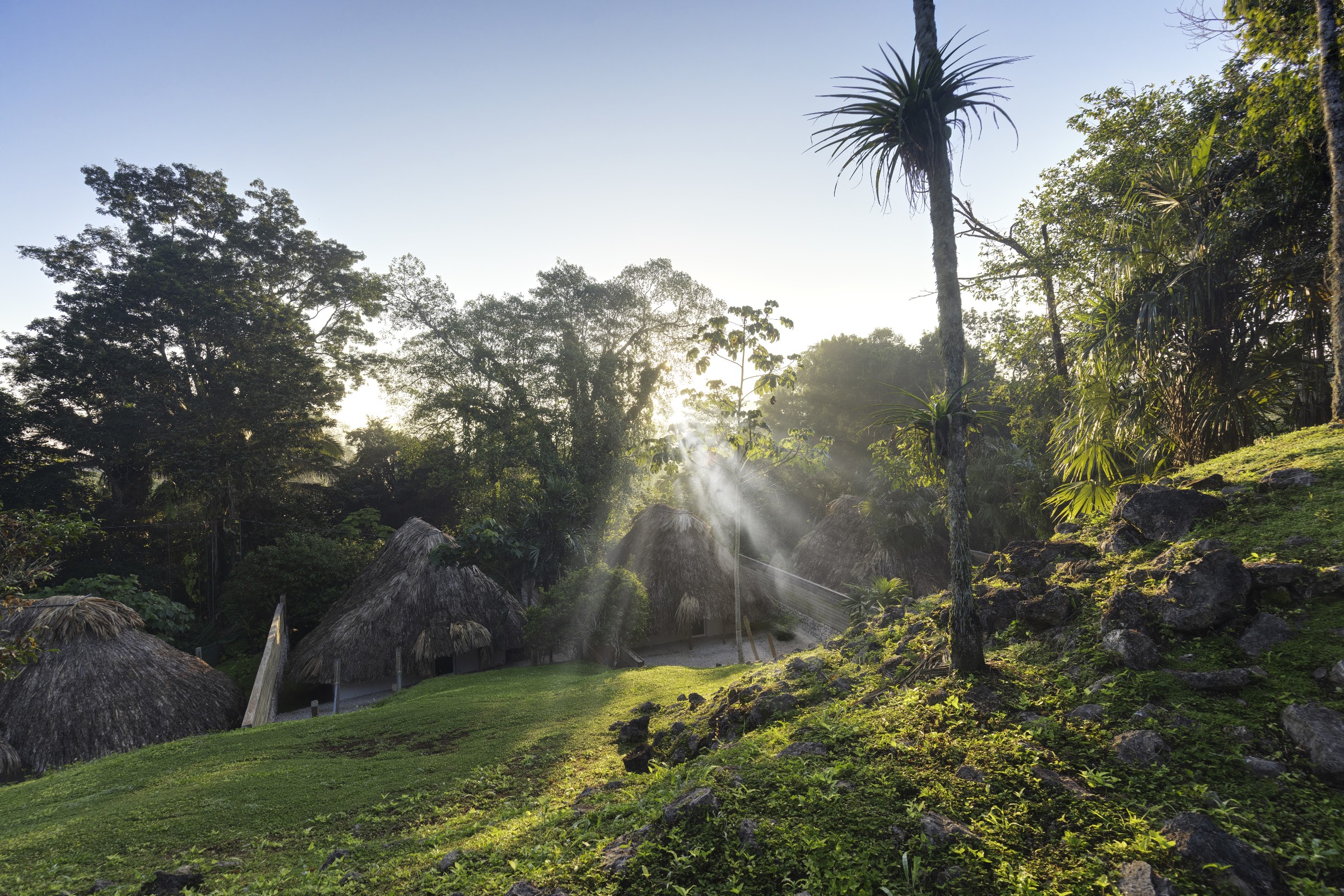 Jade Jungle Resort photo 4