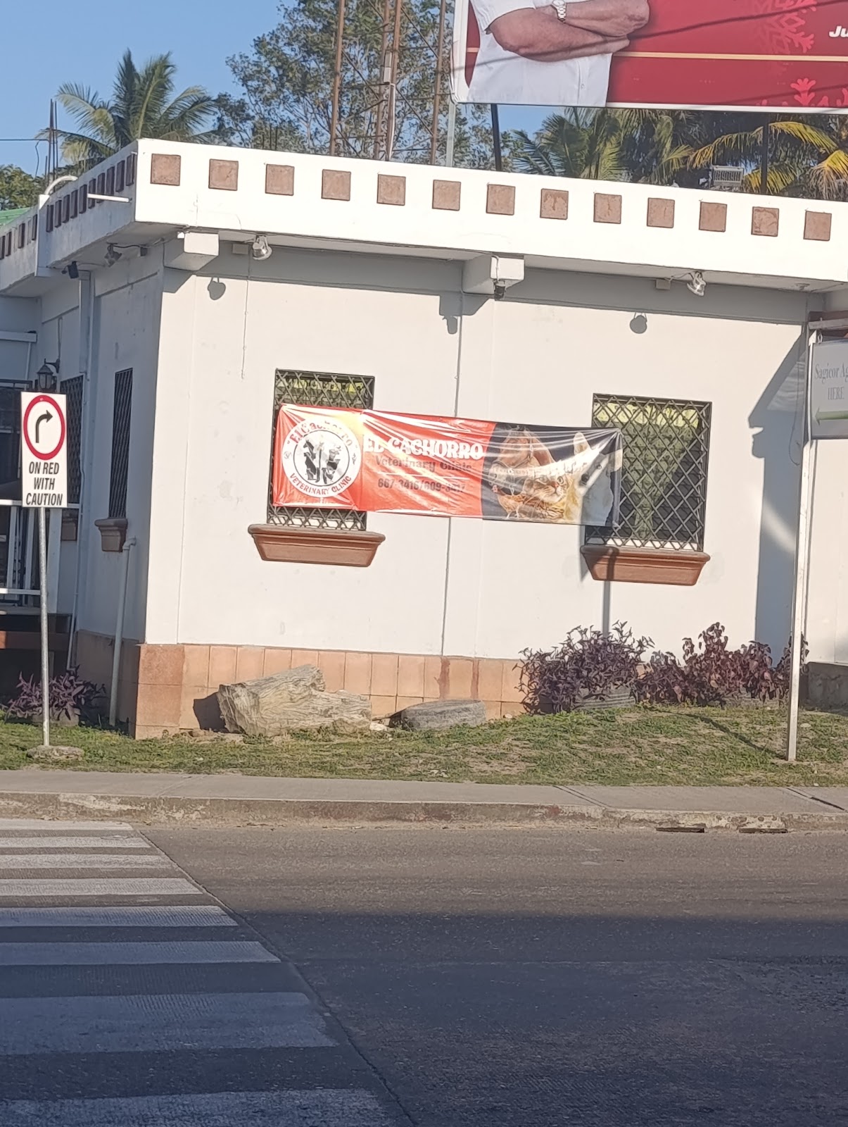 "El Cachorro" Veterinary Clinic photo 5
