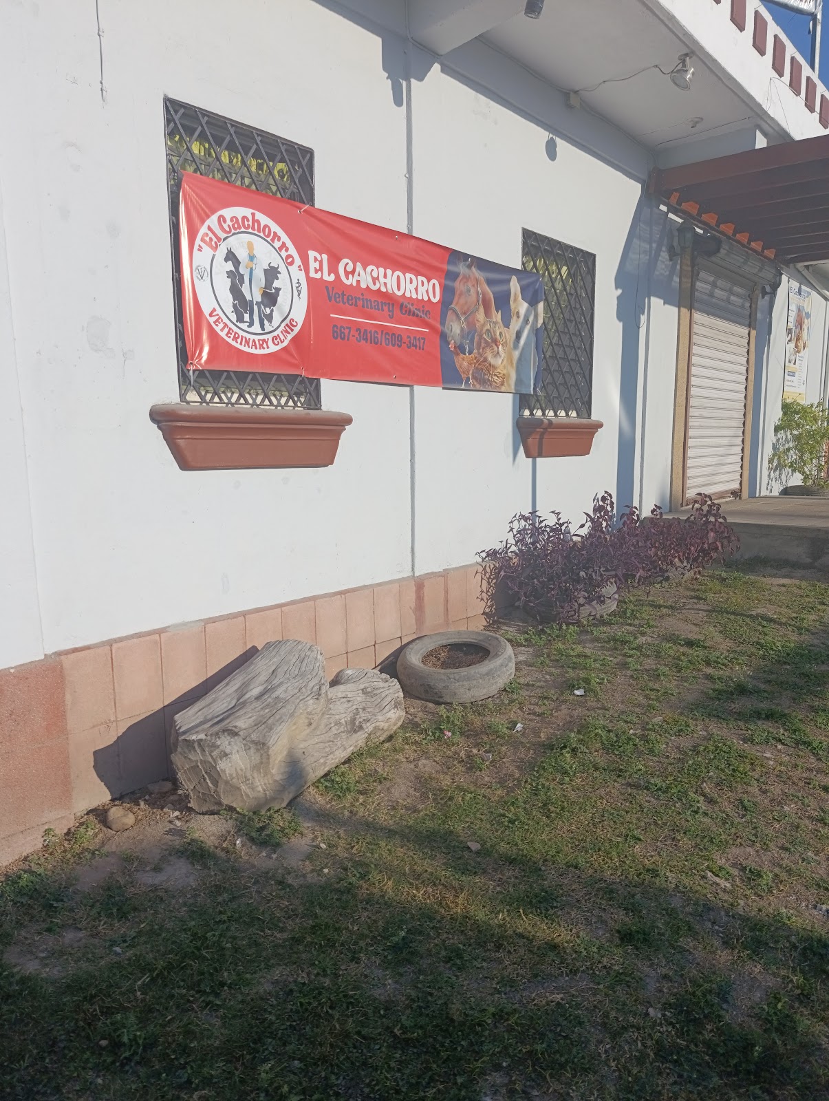 "El Cachorro" Veterinary Clinic photo 4