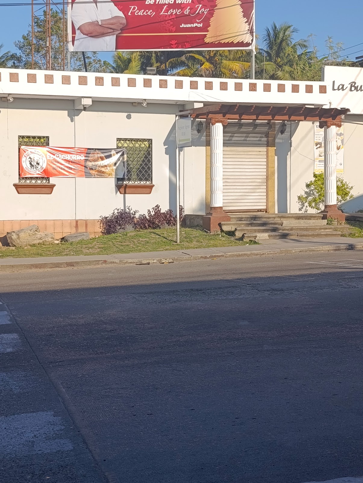 "El Cachorro" Veterinary Clinic photo 2