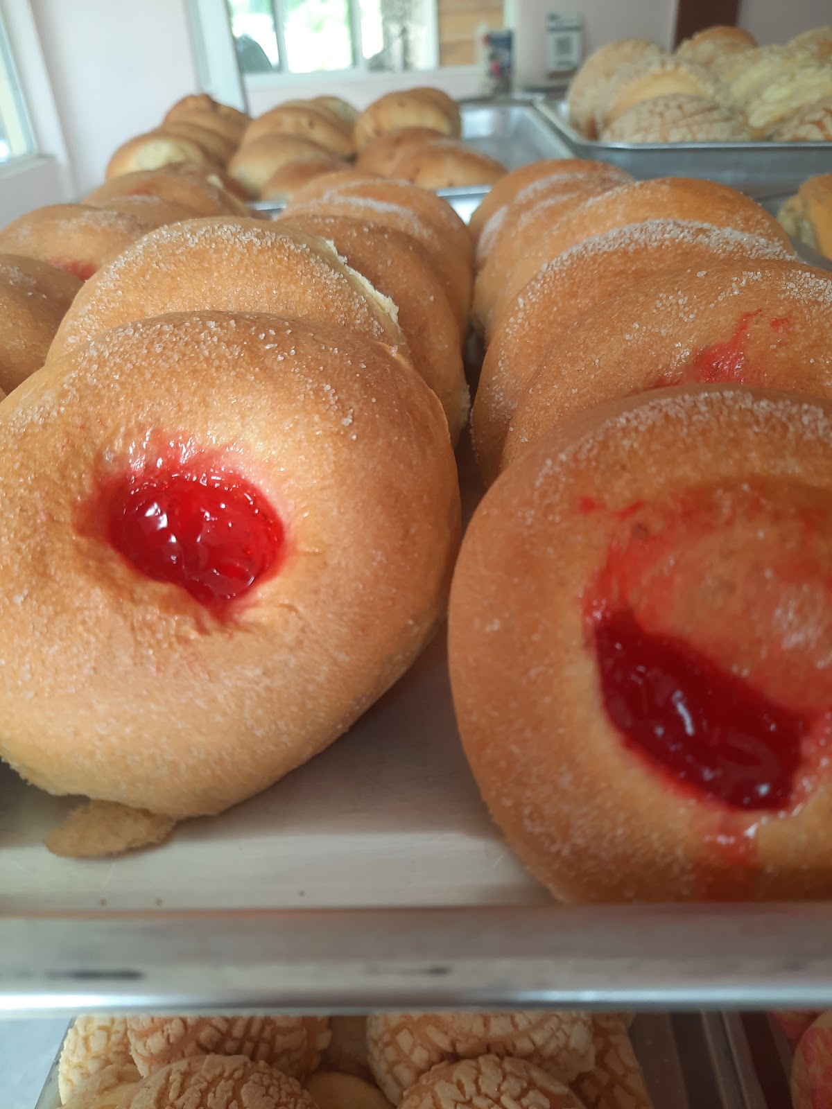 Sisters Bakery photo 2