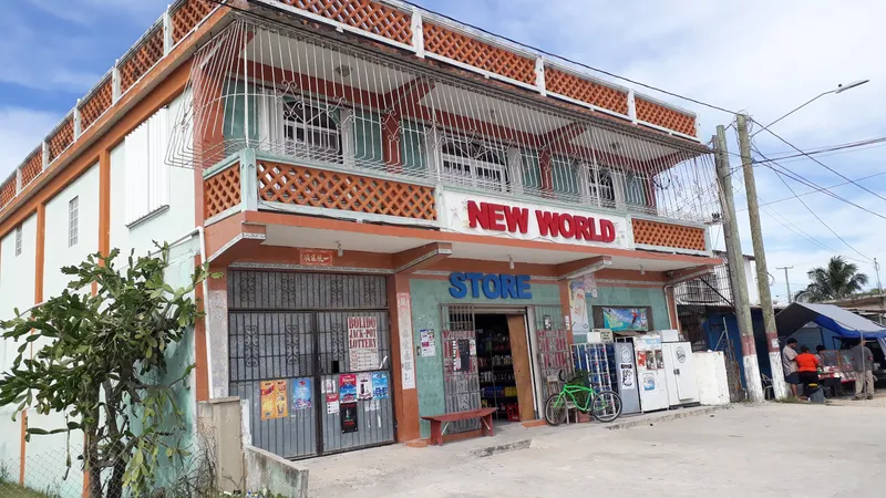 New World