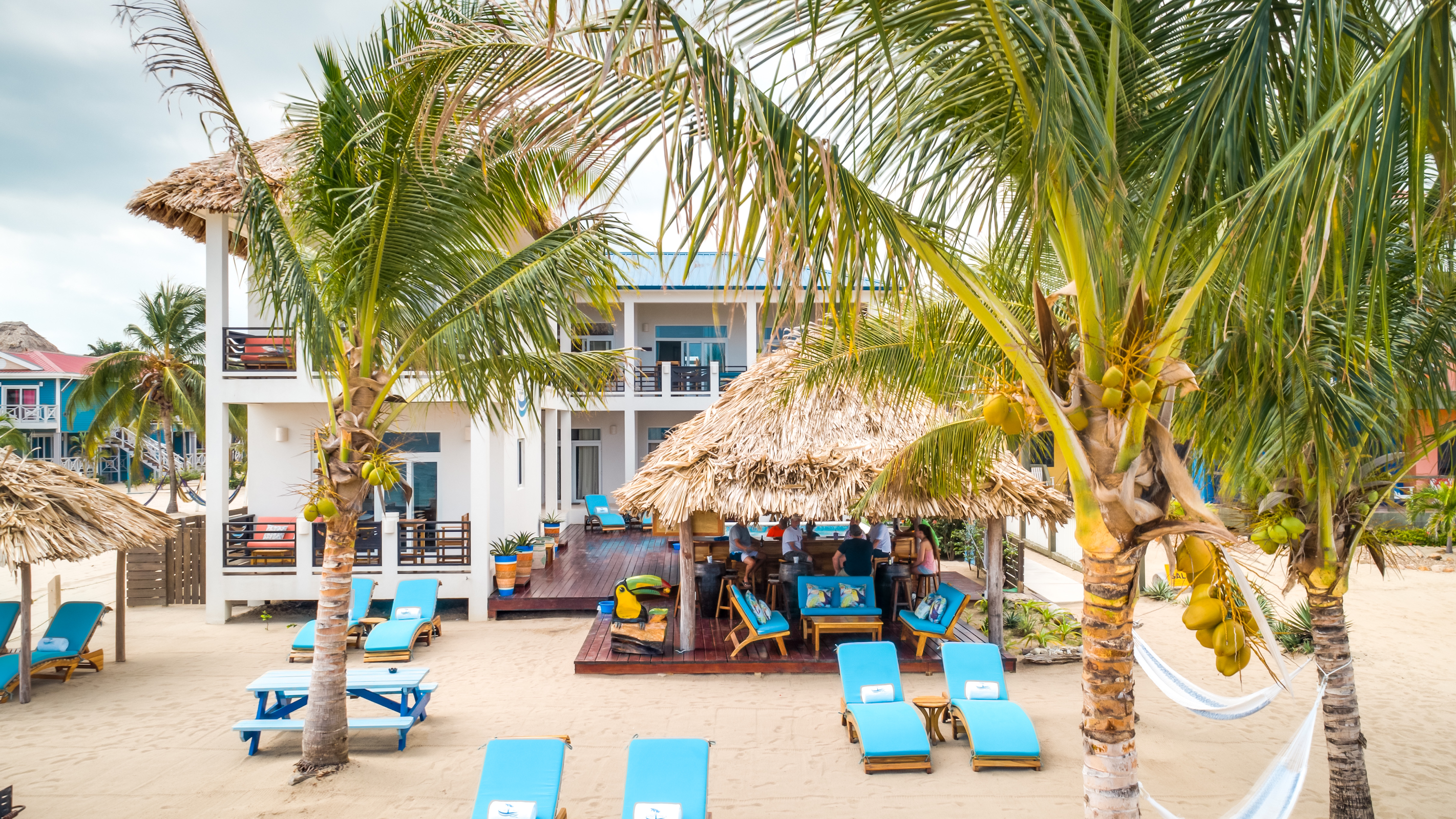 Toucan Jacks Tiki Bar photo 3