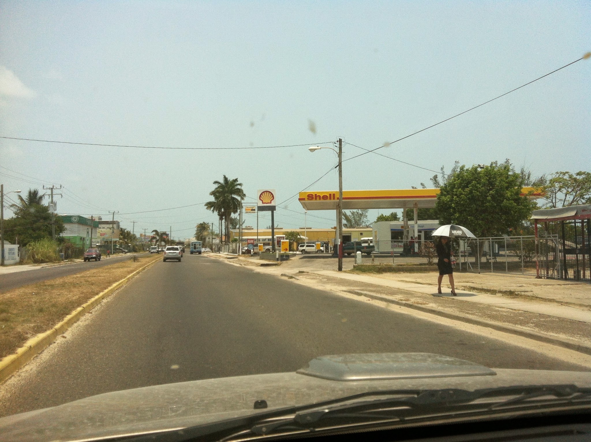 Shell Gas Station photo 8