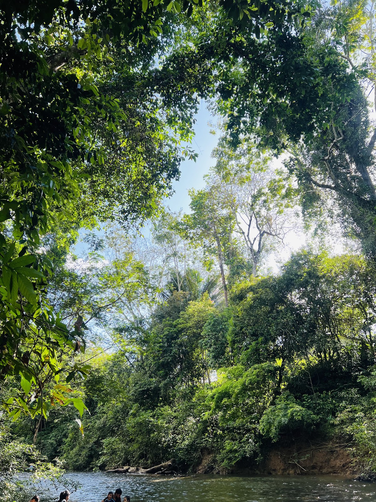 Hidden Maya Stone photo 3