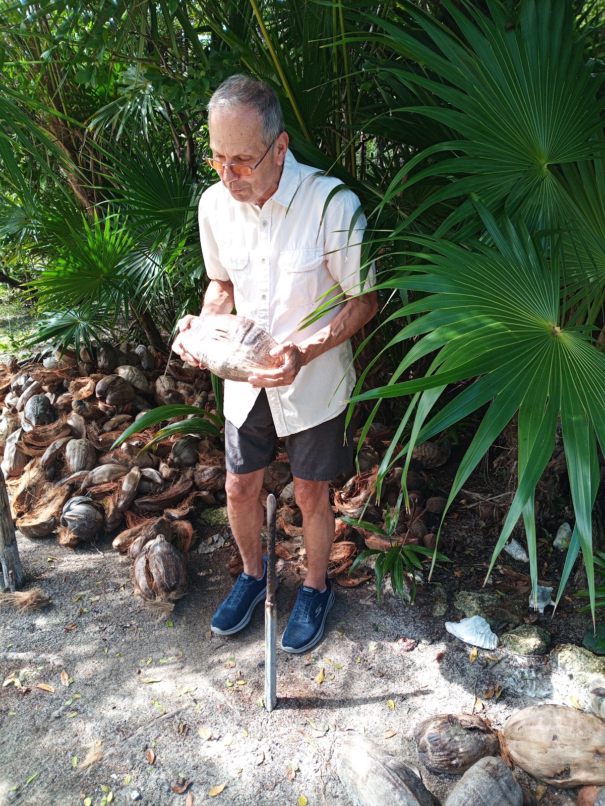 Eco Museum Belize photo 2