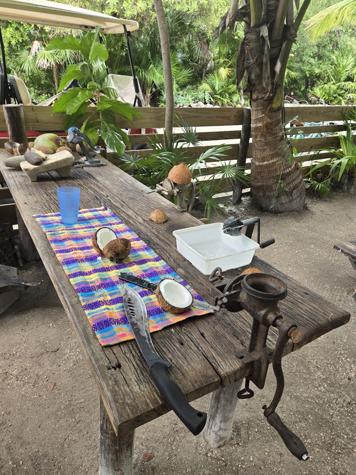 Eco Museum Belize photo 4