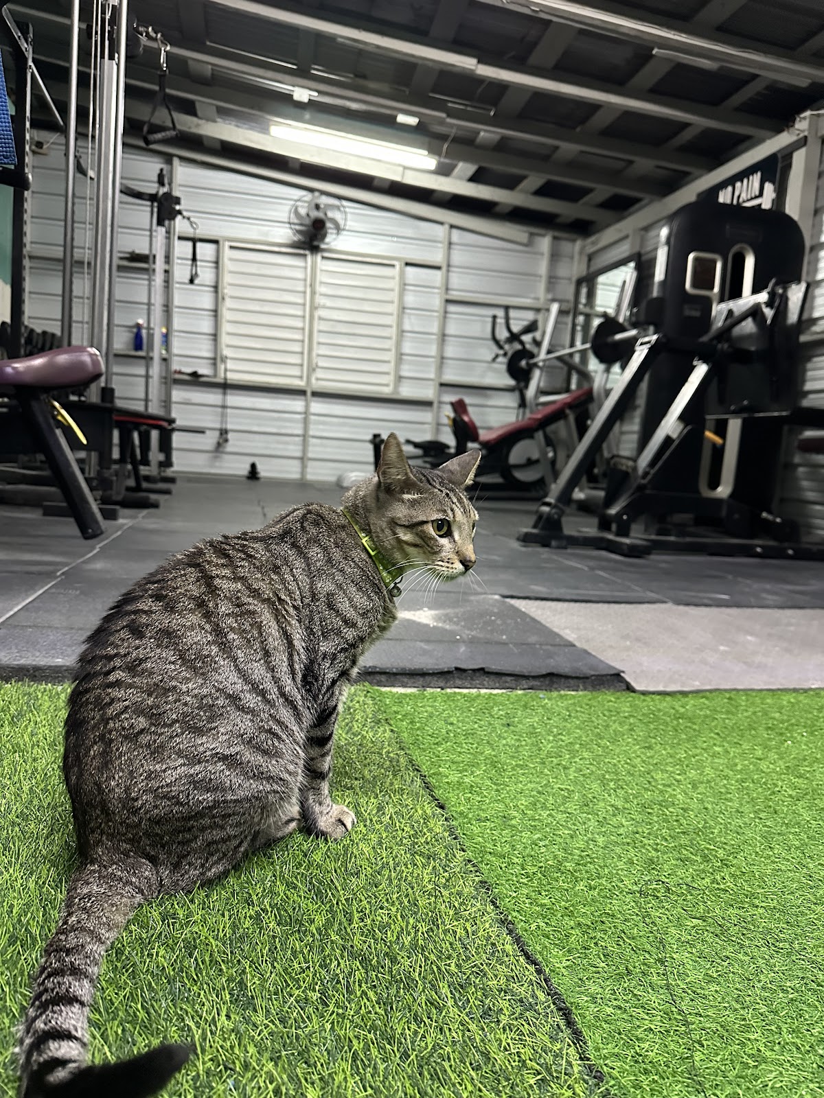 Islands Trident Gym photo 4